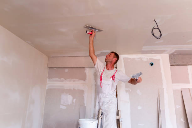 Best Ceiling Drywall Installation  in USA